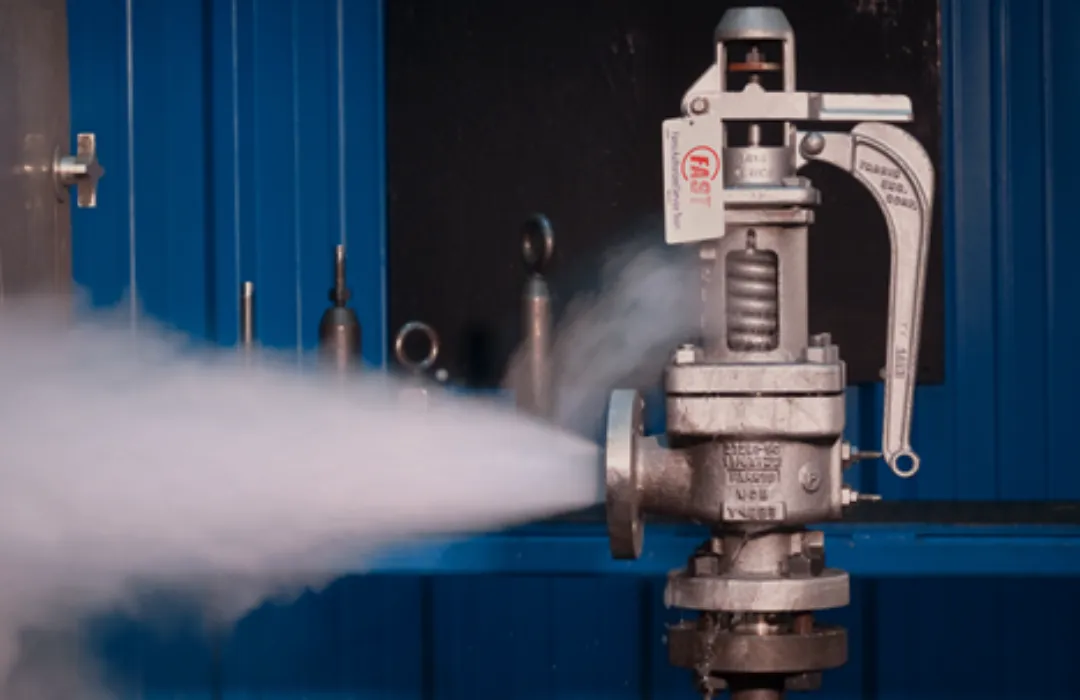 Sistemas de Alivio de Presión